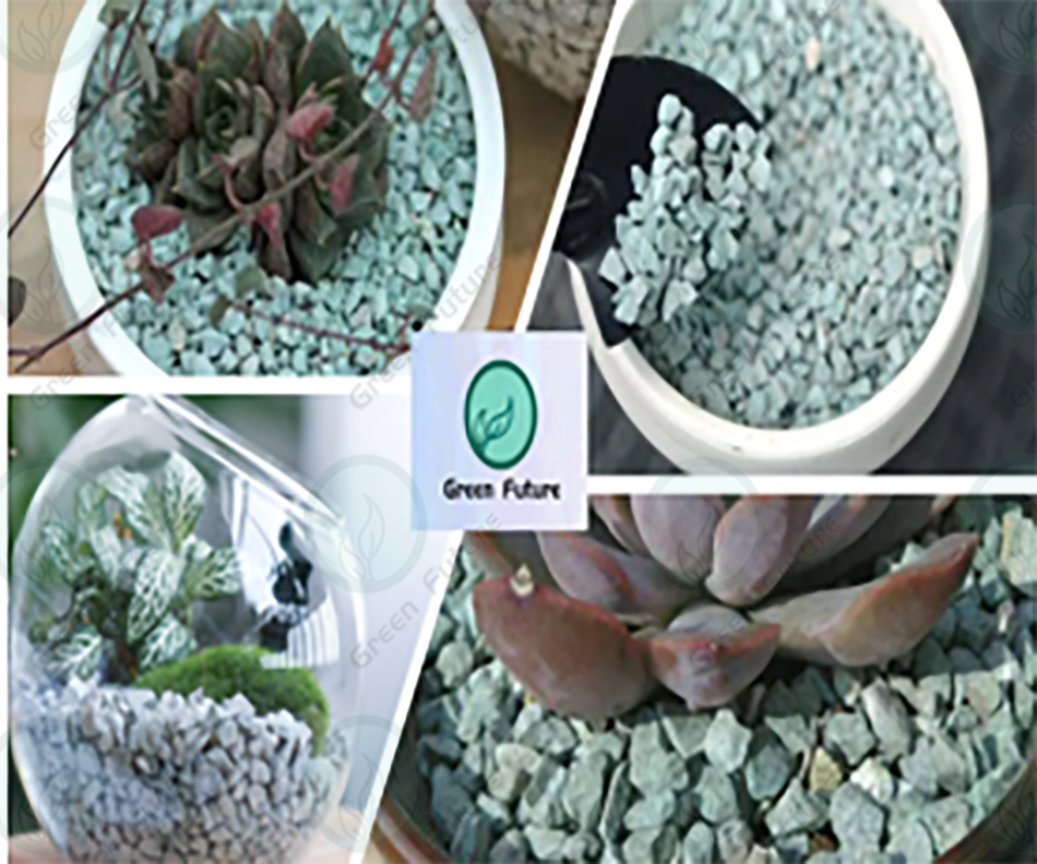 Green Zeolite Cactus Succulent Stone Tanah Succulent Dan Kaktus 绿沸石绿沸石防腐根 多肉植物盆栽营养土granular Soil 多肉铺面石多肉石头多肉 Lazada