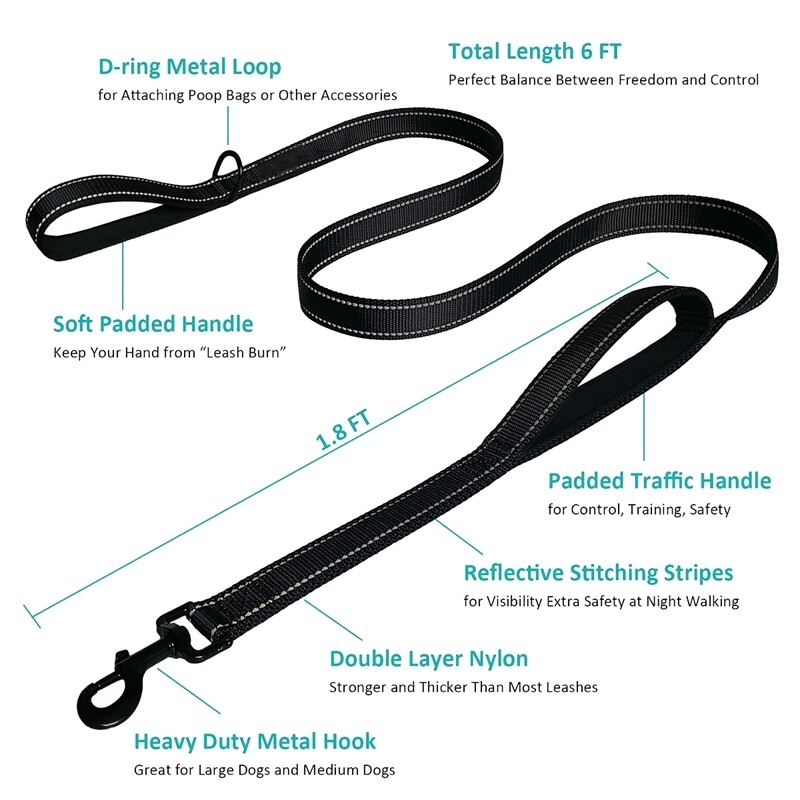 dog leash long