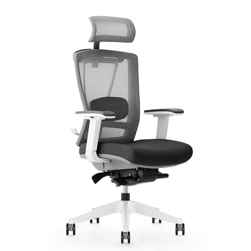 Ergochair 2 0 Malaysia Ergonomic Chair Every Home And Office Needs Lazada