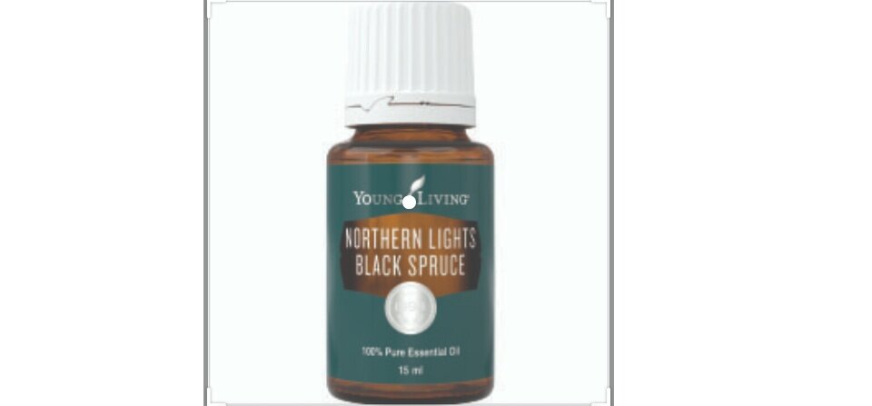 YL Young Living Northern Lights Black Spruce Essential Oil