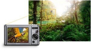 Sony Cyber Shot Dsc W810 1mp Digital Camera Lazada