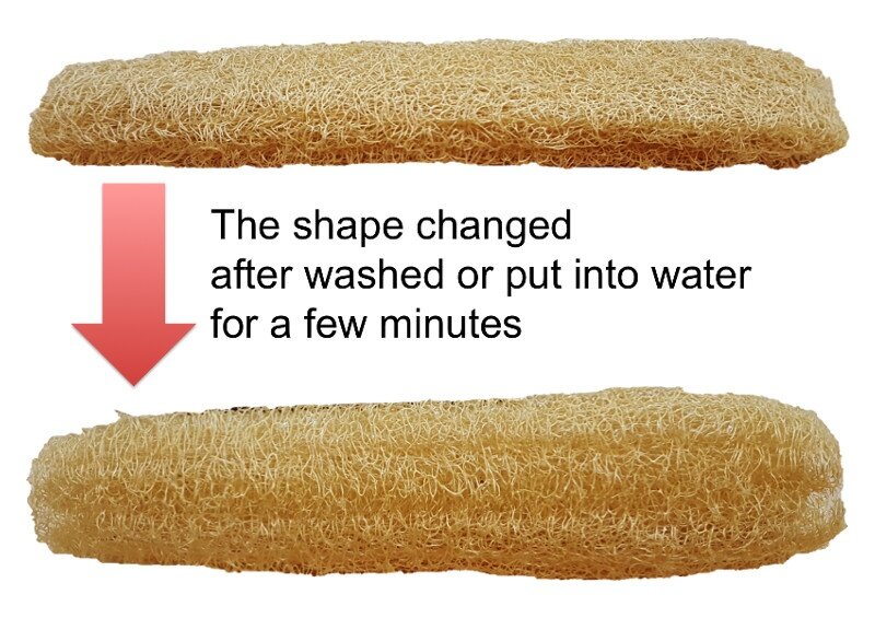 Natural Loofah or Luffa Sponge Body Bath / Skin Care/ Bowl Washing (x2